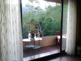 Forest view Holiday Home