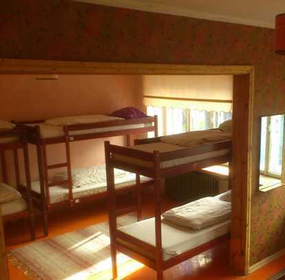 Euphoria Hostel