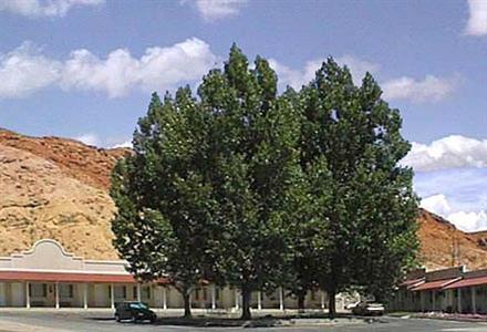 Adventure Inn