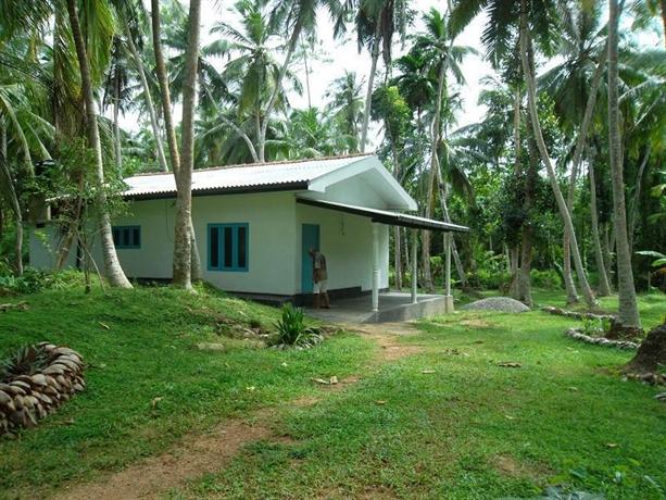 Jungle cottage Bentota