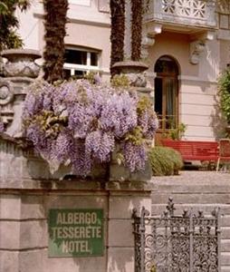 Albergo Hotel Tesserete
