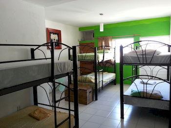 Oyster Hostel