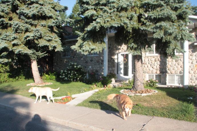 Homestay In St Hubert St Hubert