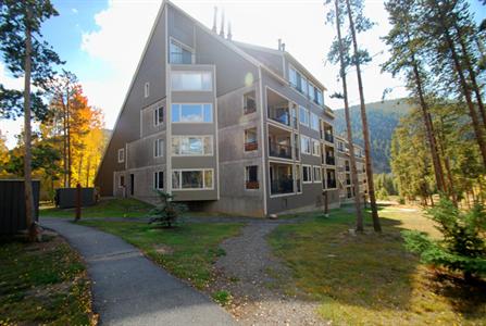 The Pines Condominiums