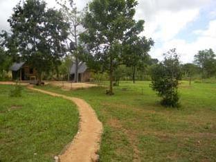 The Lodge Camp