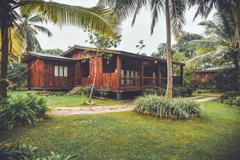 Purple Coot Ayurveda Retreat
