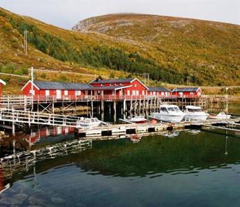 Lofoten Rorbuopplevelser