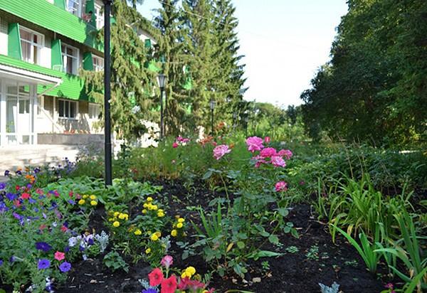 Don Voronezh