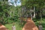 Amaara Forest Hotel Sigiriya