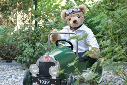 Un Ours en Ville Cote Jardin