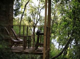 Ella Ecolodge