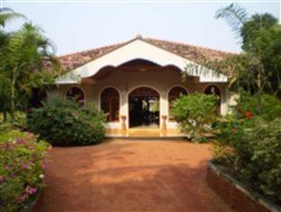 Bougain Villa
