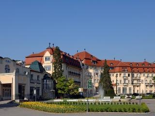 Thermia Palace