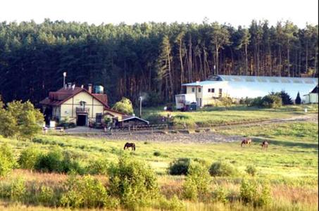 Stadnina Koni Stajnia Iskra