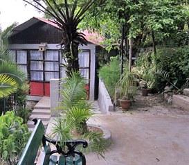Orchid Retreat