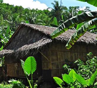 Tampat Do Aman Jungle Camp