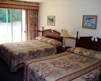 Seaview Suites