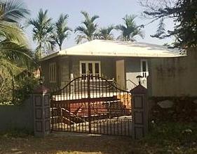Wayanad Palms