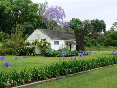 Dreams Come True on Maui Bed and Breakfast