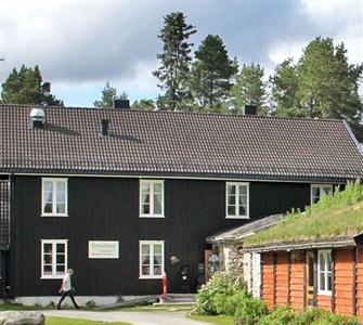 Femundtunet