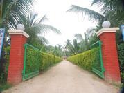 Stay Inn Hotel & Resort Ahmedabad