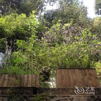 Hangzhou Show Tea Garden Hotel