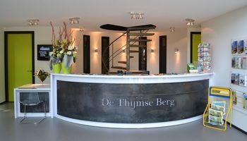 De Thijmse Berg - Brons S67